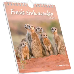 Freche Erdmännchen - Kalender 2026