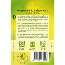 Quedlinburger Vergissmeinnicht, Blauer Korb',