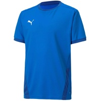 Puma Herren teamGOAL 23 Jersey T-shirt, Electric Blue Lemonade-Team Power Blue, S