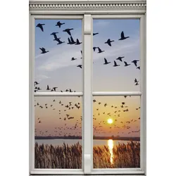 Wandsticker QUEENCE "Vogelschwarm", orange, T:0,1cm, Wandtattoos, Wandsticker, Wandbild, selbstklebend, 3D, Fenster