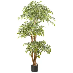 CREATIV green künstliche Pflanze Ficus Benjamina var., 165cm