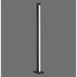 neuhaus pure® by paul neuhaus PURE Lines 140 cm grau