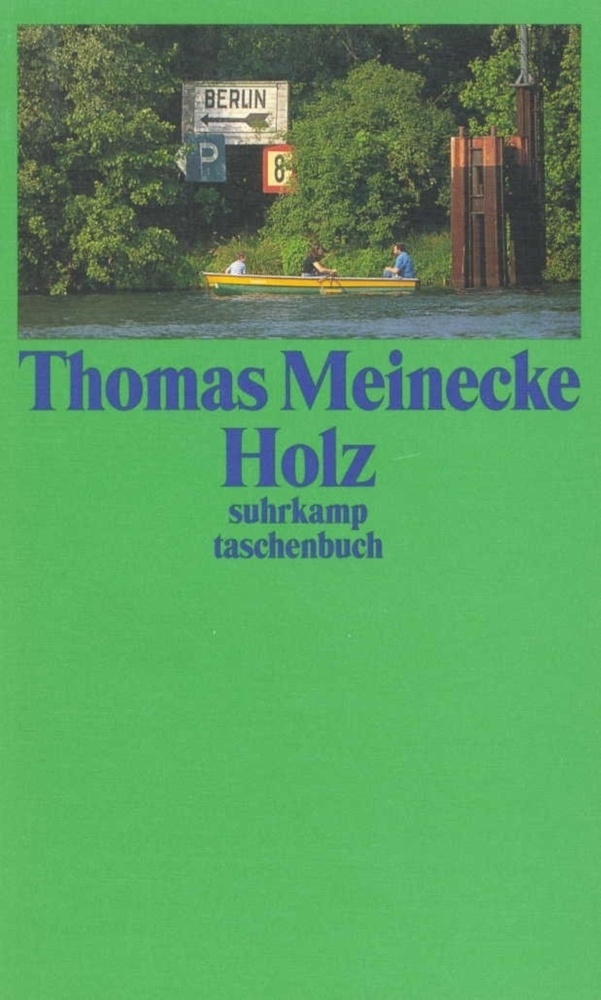 Holz - Thomas Meinecke  Taschenbuch