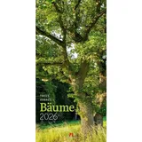Ackermann Bäume Kalender 2026