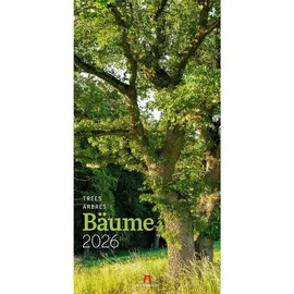 Ackermann Bäume Kalender 2026