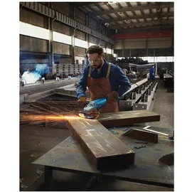 Bosch GWS 22-230 P Professional