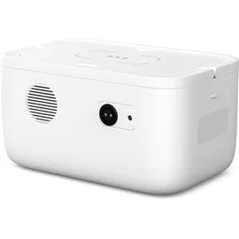 PYLONTECH Amber Rock Mini