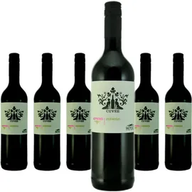 Thomas Hensel Hensel Aufwind Cuvée Rotwein St. Laurent - Cabernet