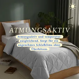 bc-agentur Bestlivings Bettdecke Hellgrau, leichtes Steppbett, Mikrofaser, atmungsaktiv, ohne Bettbezug nutzbar, Wärmeklasse 2, auch ideal für Reisen, Camping - Hellgrau