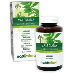 Baldrian (Valeriana officinalis) Wurzeln Naturalma