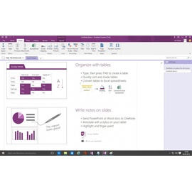 Microsoft Office Professional Plus 2019 ESD ML Win