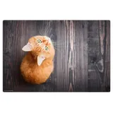 cover-your-desk.de Cover-your-desk Schreibtischunterlage für Kinder und Erwachsene Orange Katze, aus hochwertigem Vinyl , 60 x 40 cm