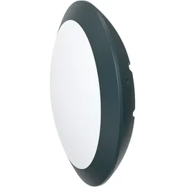 EVN Lichttechnik LED Anbauleuchte Kunststoff IP66 1050 lm anthrazit
