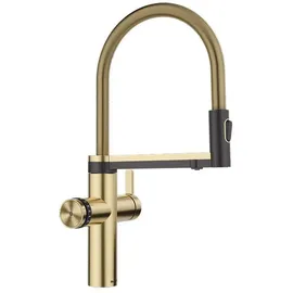 Blanco Choice Icona Küchenarmatur Satin Gold