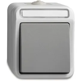 Peranova ASS AP/FR Kreuzschalter IP54