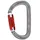 Petzl Karabinerhaken Grau