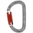 Petzl Karabinerhaken Grau