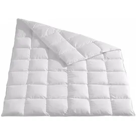 Traumschlaf Daunendecke Arktis medium, Füllung: 90% Daunen, 10% Federn 155x220 cm - weiß