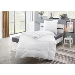 Microfaserbettdecke FAN "Komfort Plus", weiß, B:155cm L:220cm, Bezug: 100% Polyester. Füllung: 100% Lyocell (TENCEL), Bettdecken, zu jeder Jahreszeit ideal für Schwitzer