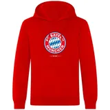 FC Bayern München I Hoodie Essential I Herren I Rot S