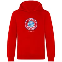 FC Bayern München I Hoodie Essential I Herren I Rot S
