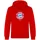 FC Bayern München I Hoodie Essential I Herren I Rot S