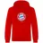 FC Bayern München I Hoodie Essential I Herren I Rot S