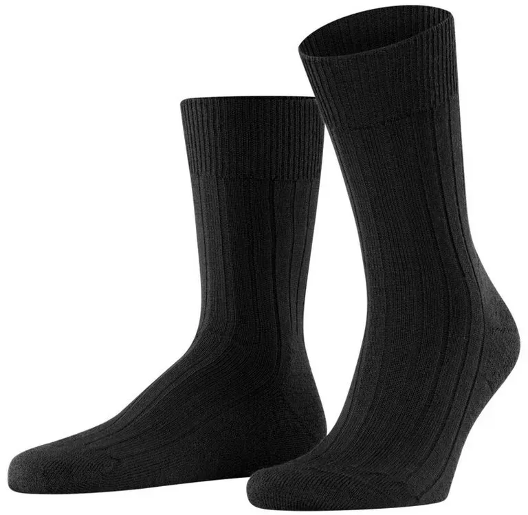 Preisvergleich Produktbild FALKE Socken Teppich im Schuh schwarz 43-44