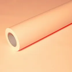 JUNOPAX Geschenkpapier apricot 50m x 0,75m, nassfest