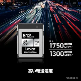 Lexar CFexpress Professional Silber Typ B 512 GB