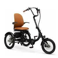 Sachsenrad E-Dreirad T6 Comfort mit tiefem Einstieg, Elektro Dreirad Faltbar, mit Differenzial, BIinker und Bremslicht, mit 7-Gang-Kettenschaltung - Schwarz