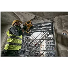DeWalt DCH481X2
