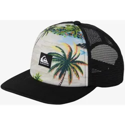 Quiksilver Emu Coop - Dna Island Aquifer Ss