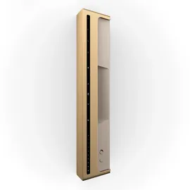 Bang & Olufsen Beosound Level gold