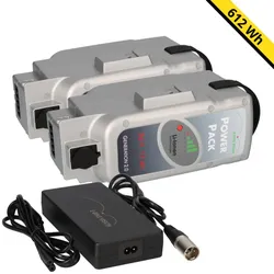 SET E-BIKE VISION Power Pack Ersatzakkus für Panasonic Deluxe-Antriebssystem 2x 36V 17Ah 612 Wh 4A Lader