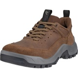 ECCO Offroad Herren cocoa brown 42