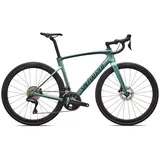 Specialized Roubaix Expert 2026 56 Zoll RH 56 cm grün/beige/weiß