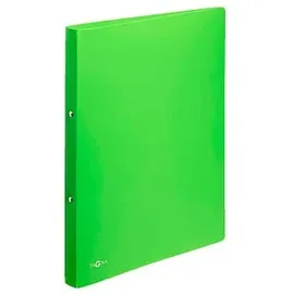 Pagna Ringbuch DIN A4 25 mm Grün 1 St.