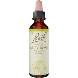 Bachblüte Wild Rose