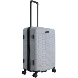 DISCOVERY Koffer REPTILE silber