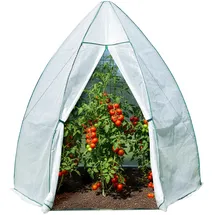 Westmann Überwinterungszelt Foliengewächshaus Avocado 250x250x250 cm
