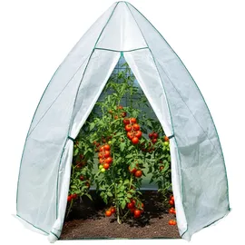 Westmann Überwinterungszelt Foliengewächshaus Avocado 250x250x250 cm