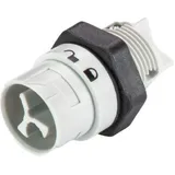 Wieland 46.032.5054.0 Rundstecker Stecker, Einbau Serie (Rundsteckverbinder): RST® MINI Gesamtpolzahl: 2 1 St.