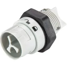 Wieland 46.032.5054.0 Rundstecker Stecker, Einbau Serie (Rundsteckverbinder): RST® MINI Gesamtpolzahl: 2 1 St.
