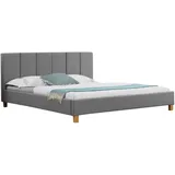 CARO-Möbel Polsterbett Jason 180x200 cm, Doppelbett Designbett inklusive Lattenrost Textilbezug in grau