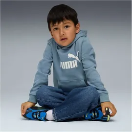 Puma Hoodie Coolblue 116