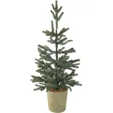 Expo-Bˆrse GmbH K ̧nstlicher Weihnachtsbaum im Topf 66 cm winterlich mit Tannenzapfen