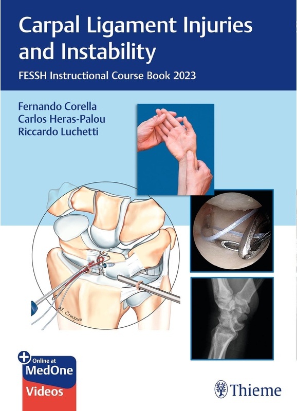 Carpal Ligament Injuries And Instability  Gebunden