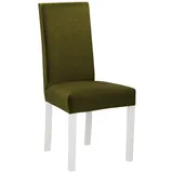MIRJAN24 Stuhl Roma II (1 Stück), aus Buchenholz, 46x41x97 cm grün