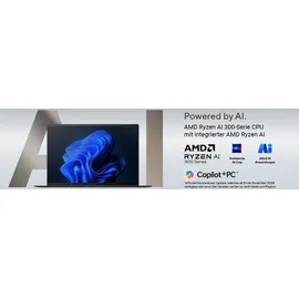 Asus Zenbook S16 OLED AMD Ryzen AI 9 365 24 GB RAM 1 TB SSD